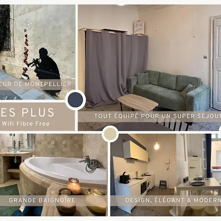 Apartment Grand F1 Centre Historique Ecusson 10min Comedie Montpellier